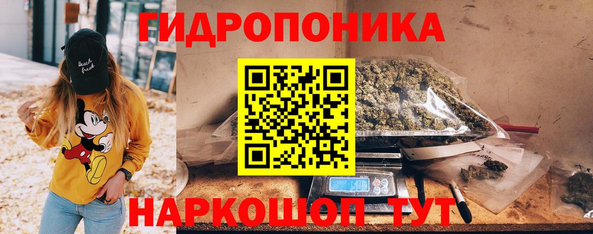 Марихуана SATIVA & INDICA Кингисепп